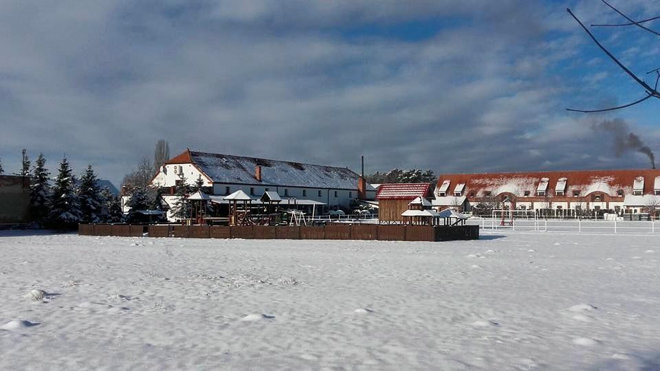 Hotel Stara Stajnia Pleszew Exterior foto